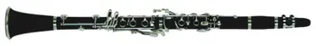 

Flt-cgbc-17 clarinet conductor