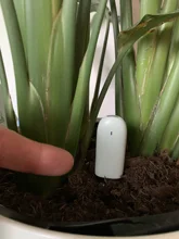 Water-Tester Sensor Soil Flora-Monitor Flower-Care Plants-Grass International-Version