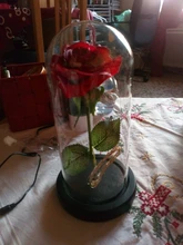 Led-Light Glass-Cover Gift Rose Beauty-The-Beast Christmas Home-Decor Valentines-Day