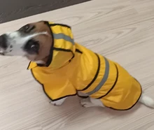 Jumpsuit Hoodies Pet-Coat Rain-Jacket Reflective French-Bulldog-S-2xl Waterproof Medium