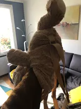 Mochila De felpa para mujer, nueva mochila de muñecos, bolsa informal con personalidad de oso de dibujos animados, B2305