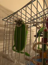 Parrot-Feeder Cage-Accessories Pet-Bird-Supplies Plastic Vegetable-Holder Food-Container