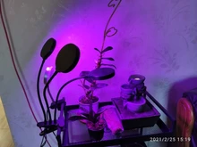 Grow-Light Lamps Timer Flowers Desktop-Clip LED Phyto Full-Spectrum For Plants DC5V USB