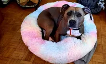 Saco de dormir en invierno para mascotas, caseta de lecho de gatos y perros supersuave, saco de dormir largo y afelpado para cachorros, esterilla portátil, tamaño de 46/50/60cm