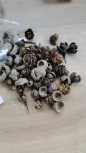 50PCS MINI Lovely Natural dried flower Pinecone series christmas decorations for home