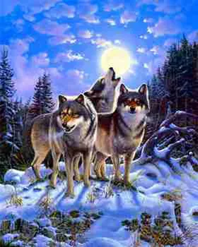 

Painting by numbers on canvas 40x50 cm "three wolves" Red Cat g050