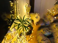 Prism-Lamp Chandelier-Decor Cut-Glass-Pendant CRYSTAL Diy Suncatcher Faceted Diamond