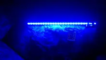 Aquarium-Light Fish-Tank-Lamp Waterproof Submersible LED Plant 110v 220V RGB 19-49CM