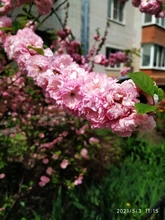 Probador USB U96, voltímetro Digital de CC, amperímetro, cargador tipo batería externa, indicador, medidor de corriente de voltaje, detector + carga + cocodrilo