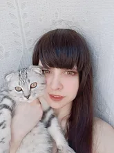 2 uds. De lentes para Cosplay, lentillas multicolores para ojos, maquillaje de Navidad, serie Anime, 1 par