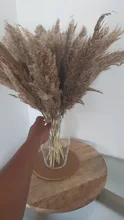 Pampas-Grass Reed Flower Wedding-Decoration Bunch Light-Color Natural Dried Christmas