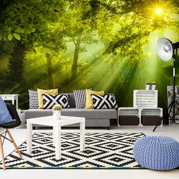 

Wall Mural XXL-in the mysterious forest II - 500x280 cm