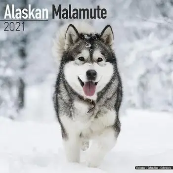 

Alaskan Malamute 2021 Wall Calendar