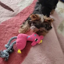 Pet-Toys Dog Toy Puppy Chew Small Dogs Resistance Teeth-Cleaning Fleece 1pcs for Bite