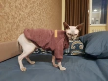 Suéteres de Gato caliente, ropa clásica de moda, ropa para perro y gato para gatos pequeños, traje de Chihuahua, abrigo de disfraz de gato de invierno