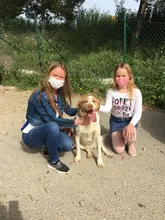 Zapatos de tobillo para mujer, mocasines planos, zapatillas brillantes de moda de cristal, zapatillas informales para mujer, Zapatos informales transpirables #45