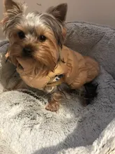 Pet-Vest Puppy-Outfit Dog-Jackets Bulldog Dogs Warm Fleece Winter Medium Large Windproof