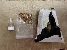 Ant-Farm Ant-House-Accessories Nest Harvester Feed-Ants Workshop Messor Structor Mixed