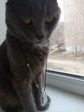 De Metal Anime ataque en las alas de la libertad titanium collar Shingeki no Kyojin collar cosplay collar de la encuesta