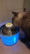 Water-Fountain Automatic Bowl Feeder Drinker FILTERS Led-Lighting Cats with 5-Pack USB