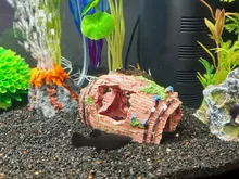 Ornament Aquarium-Decoration Scorpion Lizard Tortoise Hideout-House Habitat Fish-Tank