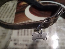 Keychain Pendant Pet-Accessories Engraved Puppy Dog-Collar Pet-Id-Name Personalized 