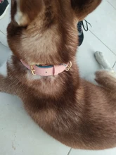 Dog-Collar Id-Plate Engraved Dogs Pitbull Custom Personalized Padded with Tag 2-Layers