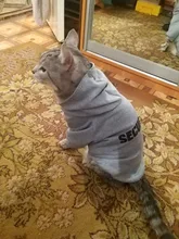 Cat Clothes Pet Cat Coats Jacket Hoodies For Cats Outfit Warm Pet Clothing Rabbit Animals