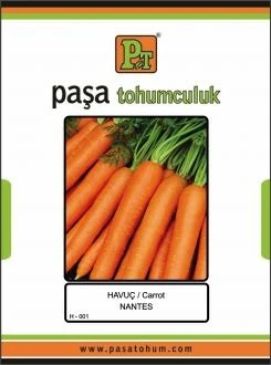 

HAVUÇ TOHUMU - NANTES 10 GR