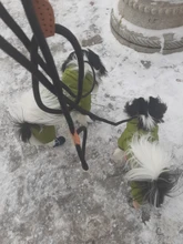 Slip-Collar Pet-Traction Dog-Leash P-Chain Pet-Walking-Leads Dog-Mountain-Climbing-Rope