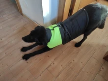 Chaleco impermeable para perros grandes y pequeños, abrigo cálido de invierno para cachorros, ropa para mascotas, 4XL, 5XL, nuevo