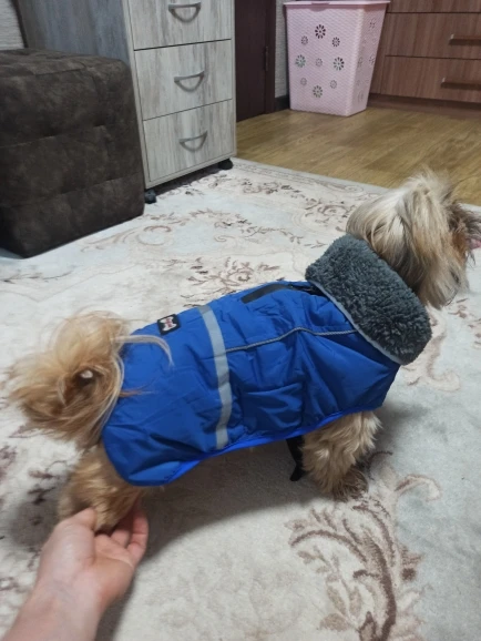 Dog Winter Jacket | Waterproof Coats for Small Medium Large Dog photo review