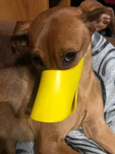 Bozal de silicona para perros, máscara bozal antimordida para perros pequeños y grandes, boquillas para la boca, accesorios de mascota perro