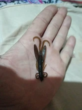 Silicone Bait Float Wobbler Shrimp Lobster Worm Fishing-Lure Lizards Twintails 4pcs 2g