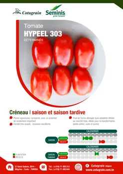 

Hibrit Sanayi Domates Tohumu - HYPEEL 303 F1 - 25.000 Adet