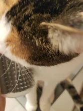 Massage-Comb Brush Self-Grooming-Brush Corner Cat Dogs/cats 