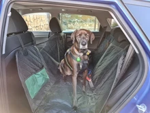 DEKO-Protector para asiento de coche para perros, hamaca de transporte con visión de malla para mascotas, Protector de seguridad, alfombrilla para asiento trasero de coche con cremallera y bolsillo para viaje