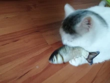 Doll-Pillow Cat-Toy Cat Mint Simulation-Fish Grass-Carp Funny New Pet-Molar