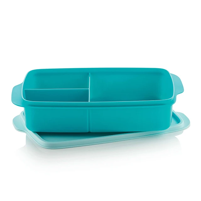 Tupperware-Boîte à lunch à compartiments pour enfants et adultes, boîte à  sandwich, boîte de rangement et de transport