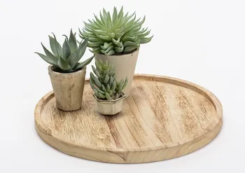 

Plate-wooden tray
