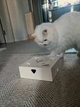 Cat-Toy Cat-Catching-Mouse Magic-Box Crazy-Game Smart-Teasing Interactive Electric MEWOOFUN