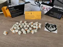 Mechanical-Switches Transcendent Glorious Panda Premium for Typing-Experience 36pcs-Per-Box