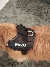 Arnés de perro sin tirar reflectante transpirable arnés de mascota ajustable para chaleco de perro ID parche personalizado para caminar al aire libre perro suministros