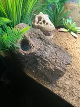 Lizard-Feeding-Box Decoration Turtle Cave Reptiles Bark Resin Simulation-Tree Amphibians-Landscape