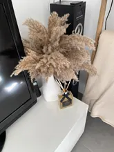 Pampas-Grass Reed Flower Wedding-Decoration Bunch Light-Color Natural Dried Christmas