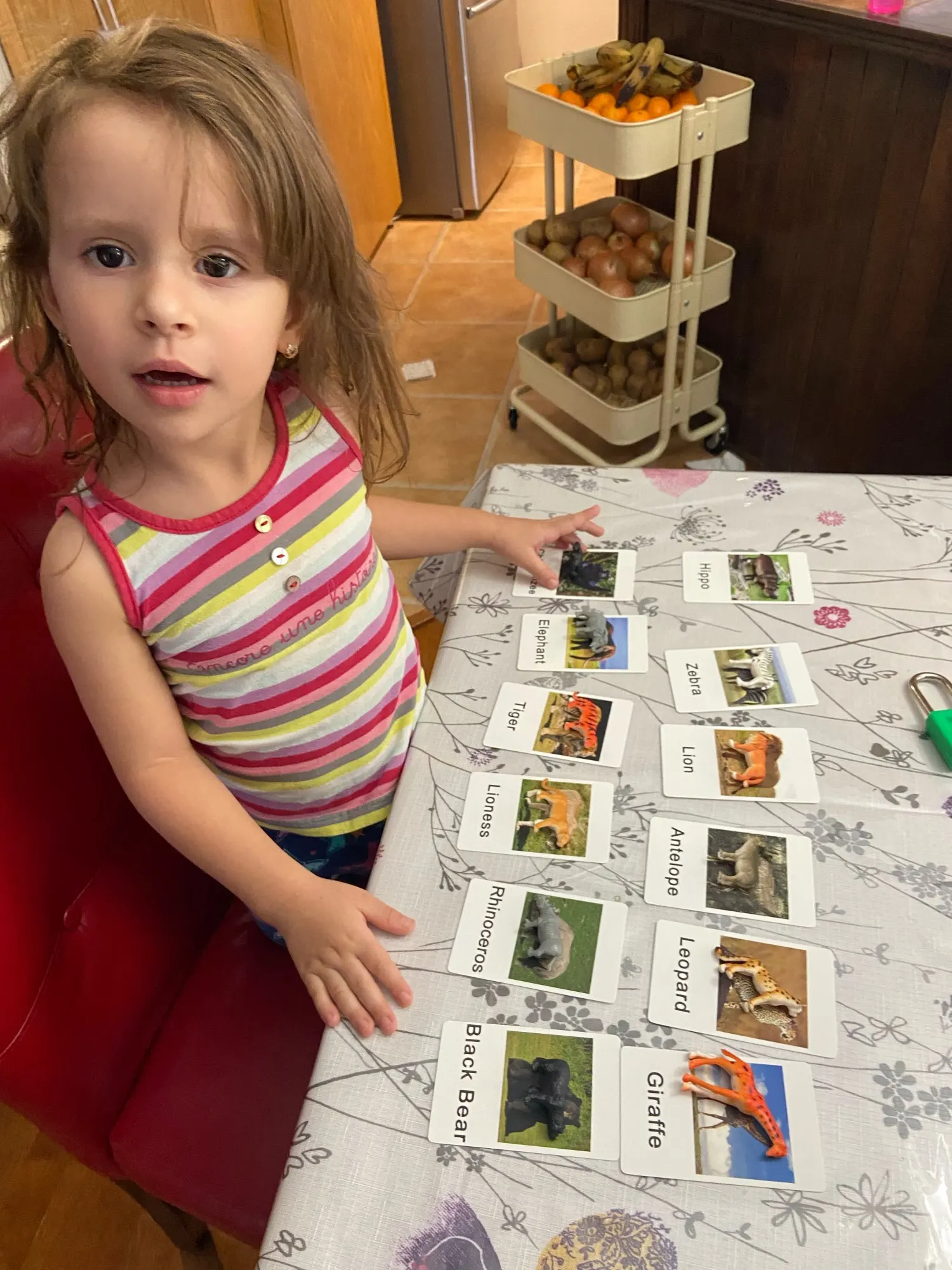 Montessori Animals and Insects Figurines Montessori Educational Toys