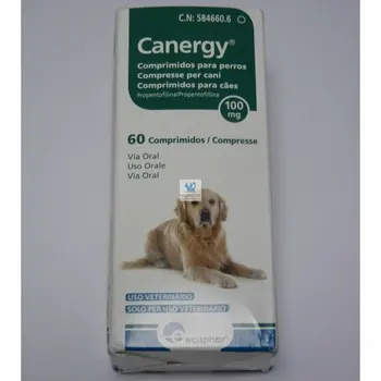 

CANERGY dog 100 MG 60 tablets supplementary dog food