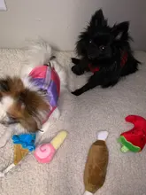 Animals Cartoon Dog Toys Stuffed Squeaking Pet Toy Cute Plush Puzzle for Dogs Cat Chew