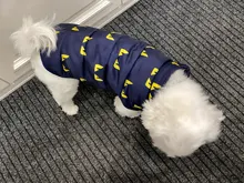 Pet Dog Winter Coat Small Dog Clothes Warm Dog Jacket Puppy Outfit Dog Coat Chihuahua