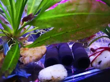 Aquarium-Decoration SHELTER-HOUSE Fish-Tank-Decor Simulation-Stone Fish-Shrimps Ceramic